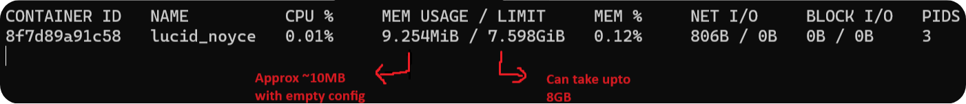 screen capture of console showing default memory settings for container