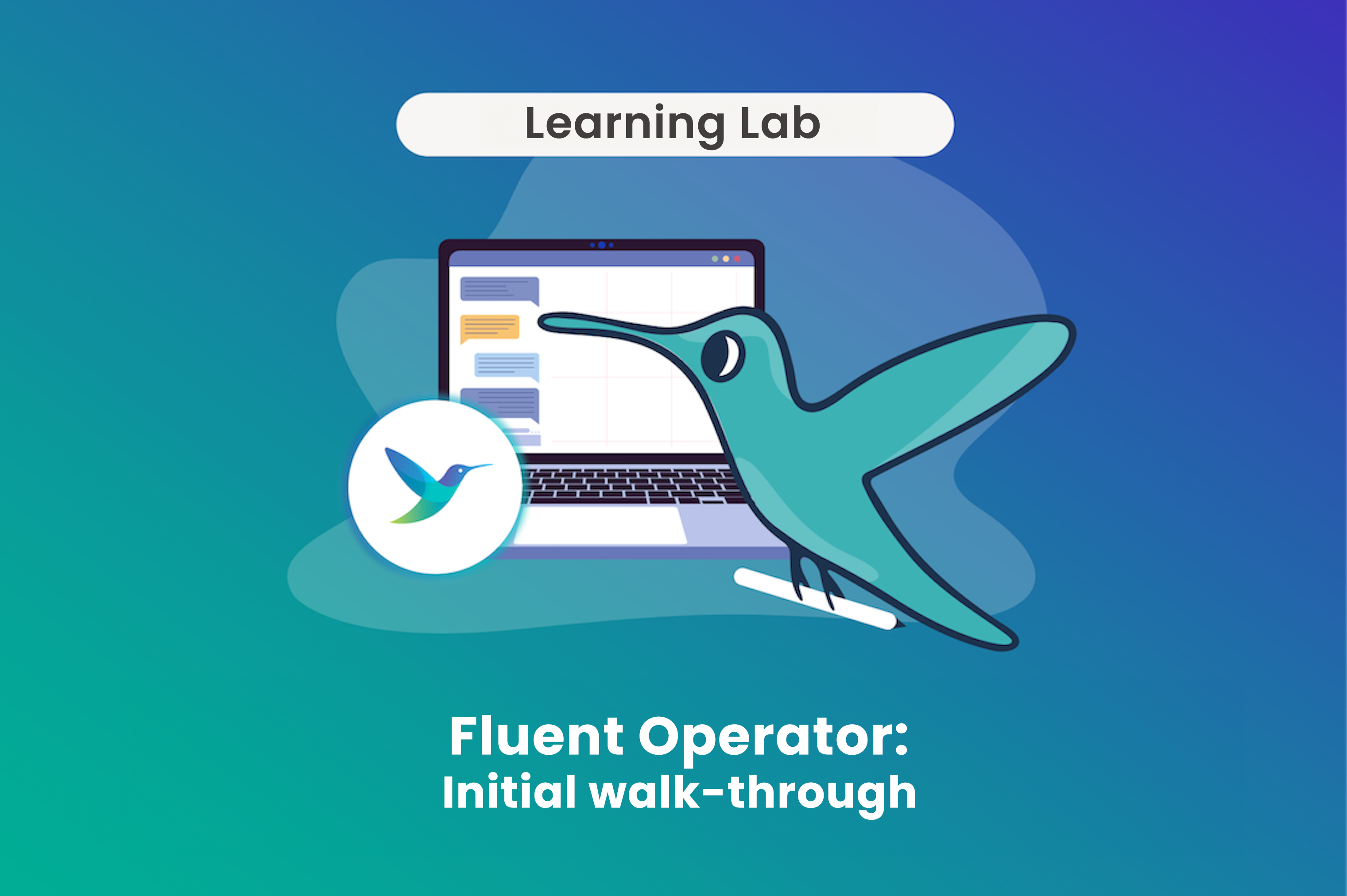 Fluent Operator initial walk-through